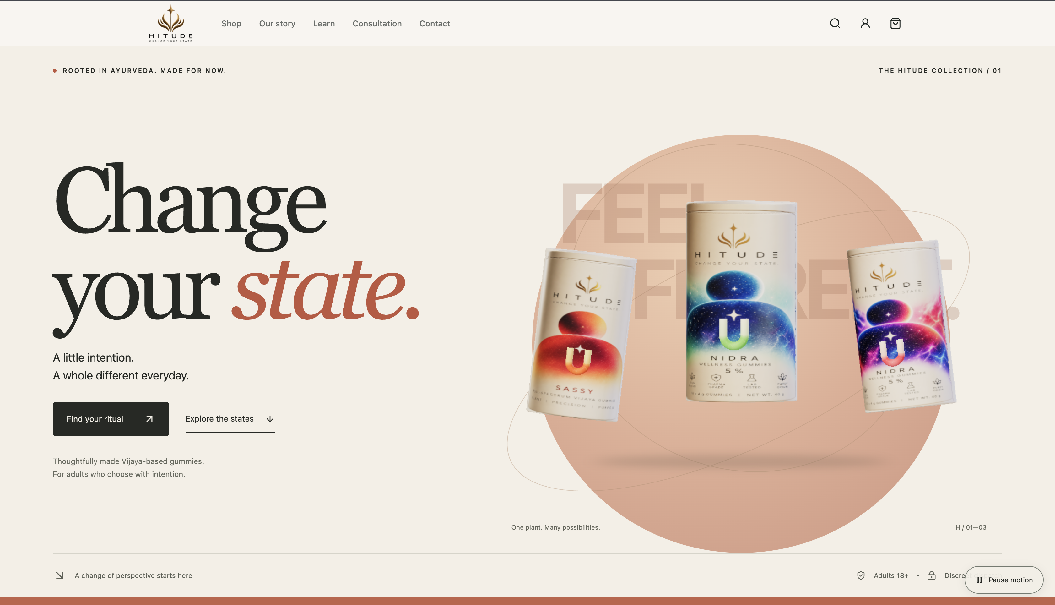Hitude project preview